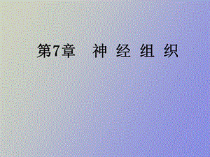 本科神经组织.ppt