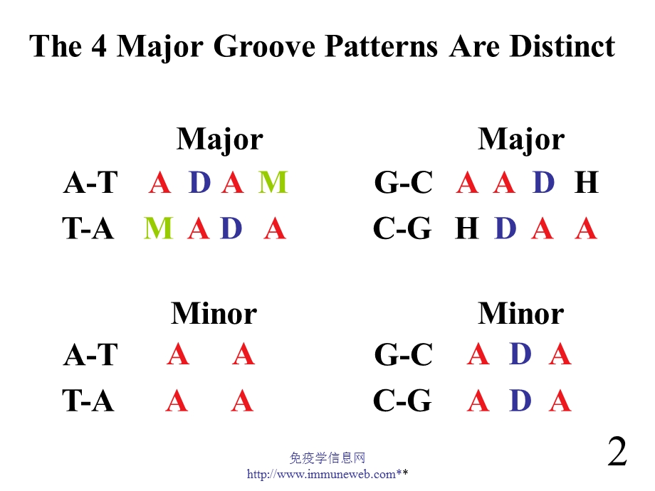 哈佛大学公开课程-蛋白质和DNA的关系.ppt_第3页