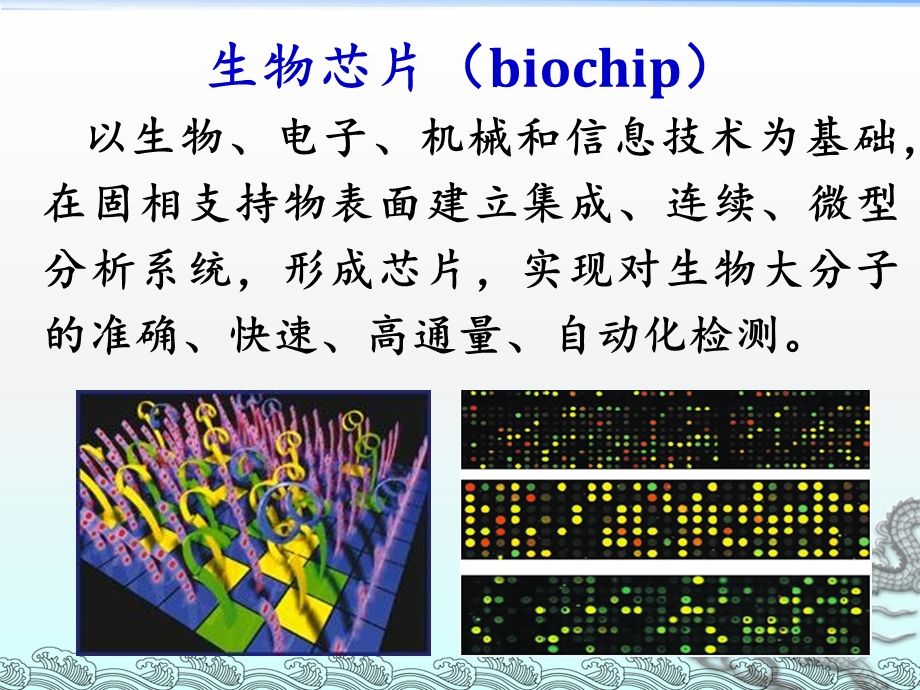 常用分子生物学技术-RNA干扰技术.ppt_第2页