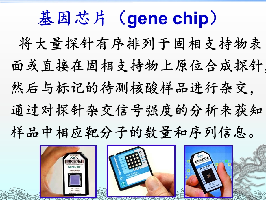 常用分子生物学技术-RNA干扰技术.ppt_第3页