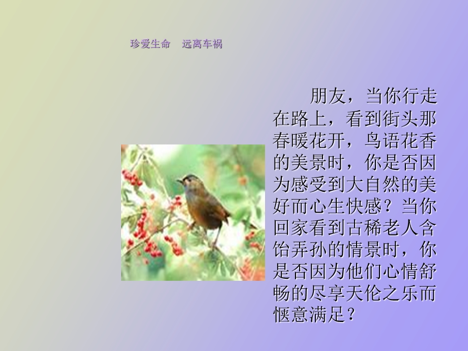 安全读书心得.ppt_第2页