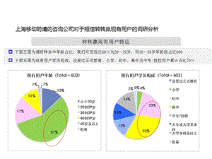 咨询公司调研报告.ppt