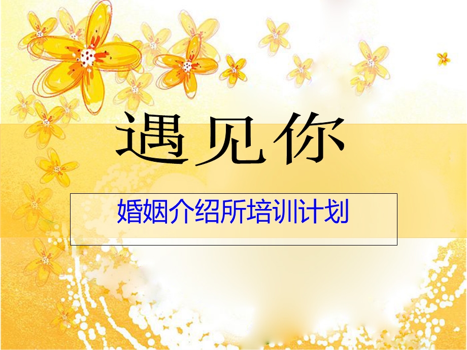 婚姻介绍所培训计划.ppt_第1页