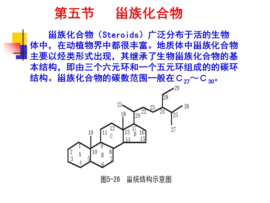 地球化学-第四章生物标志物.ppt_第1页