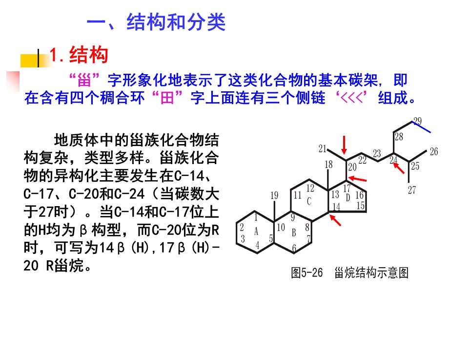 地球化学-第四章生物标志物.ppt_第2页