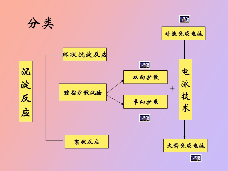 对流免疫电泳.ppt_第3页