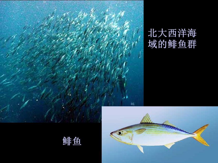 大规模的海水运动二.ppt_第2页