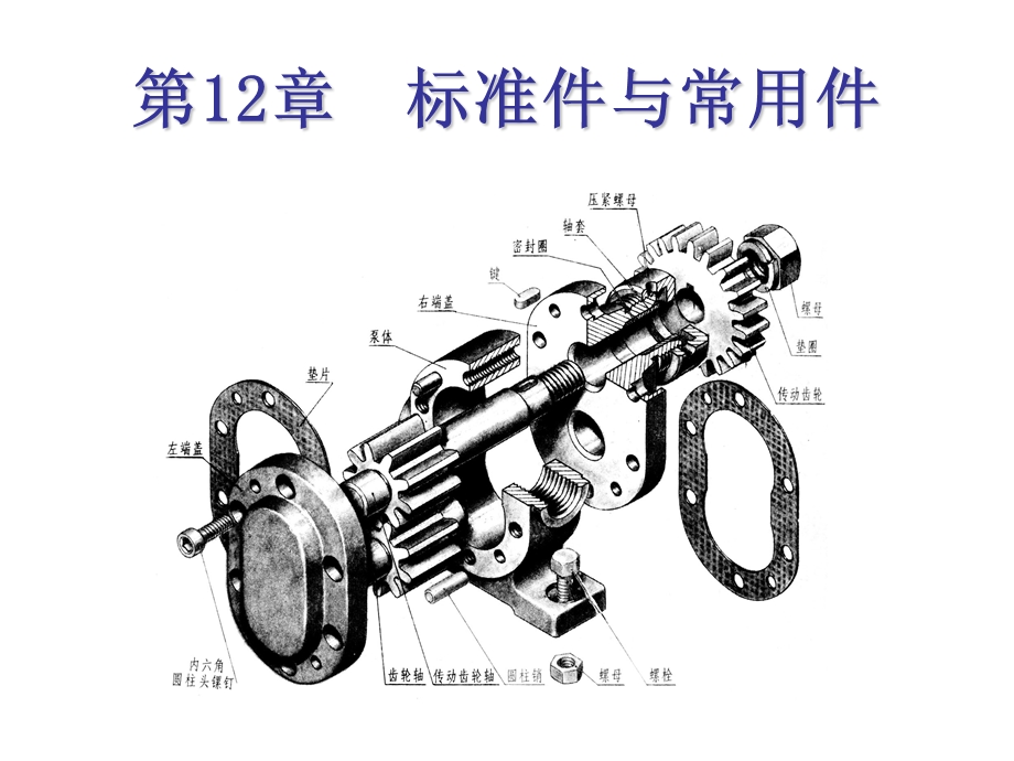 工程图学第12章-标准件和常用.ppt_第1页