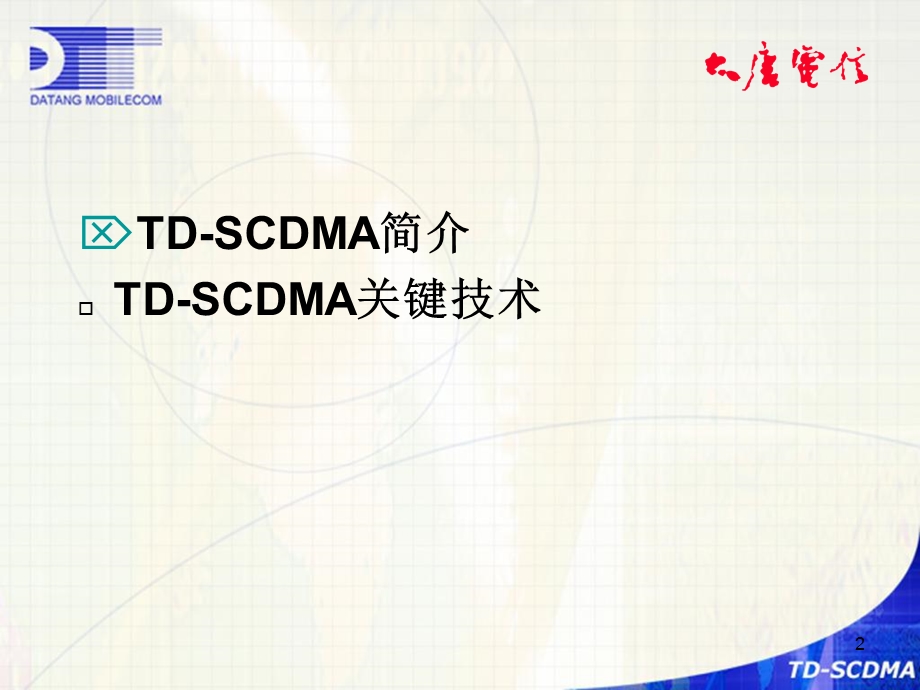 大唐电信的TDSCDMA物理层关键技术资料.ppt_第2页