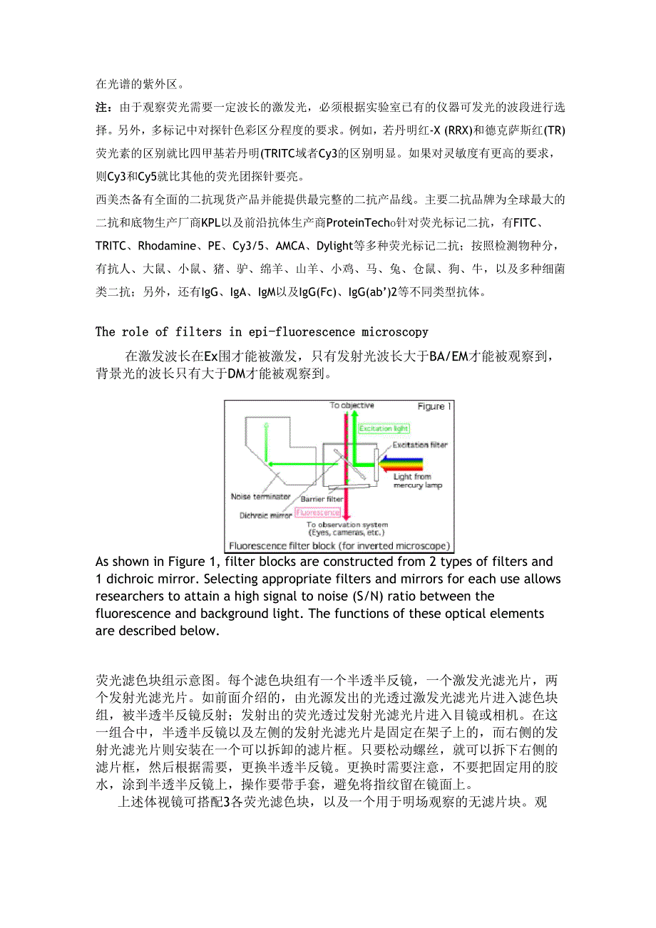 显微镜荧光波长详解.docx_第3页