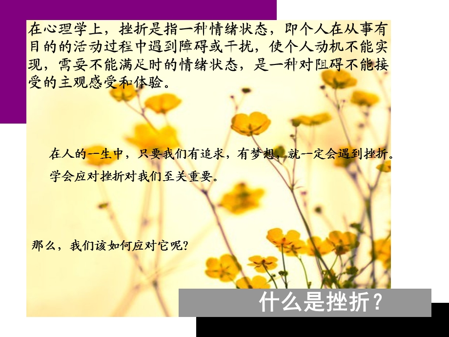 挫折应对与成功心态培养.ppt_第2页