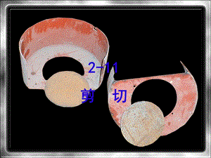 材料力学剪切应力.ppt