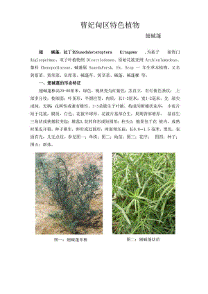 曹妃甸区的特色植物.docx