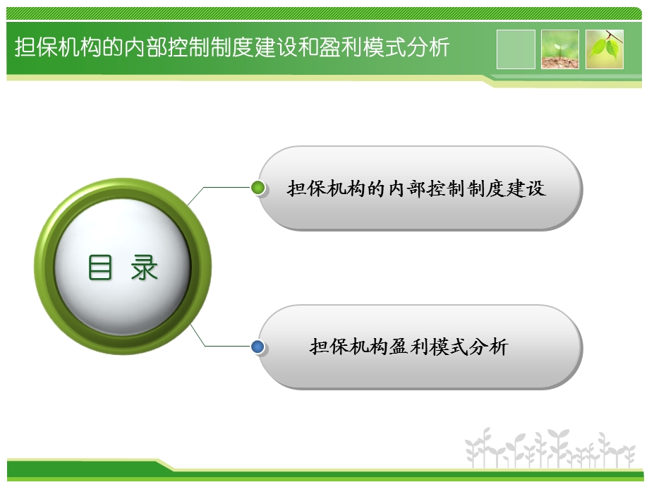 担保机构的内部控制制度建设和盈利模式分析.ppt_第2页