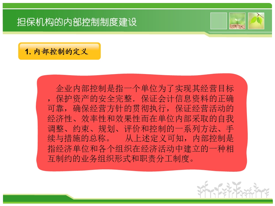 担保机构的内部控制制度建设和盈利模式分析.ppt_第3页