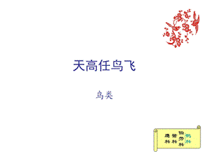 大一上学期计算机课作业.ppt