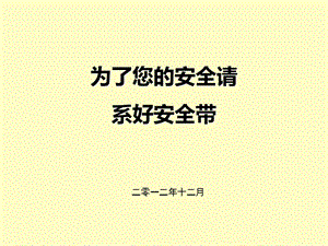 机动车安全带.ppt