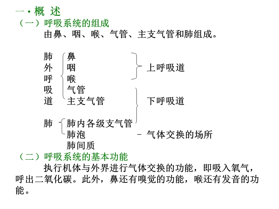 呼吸系统和泌尿系统.ppt_第2页