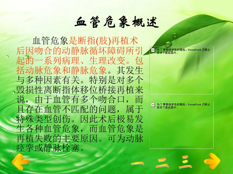 断指再植术后预防血管危象的护理武汉弘济骨科胡汉兰.ppt_第3页