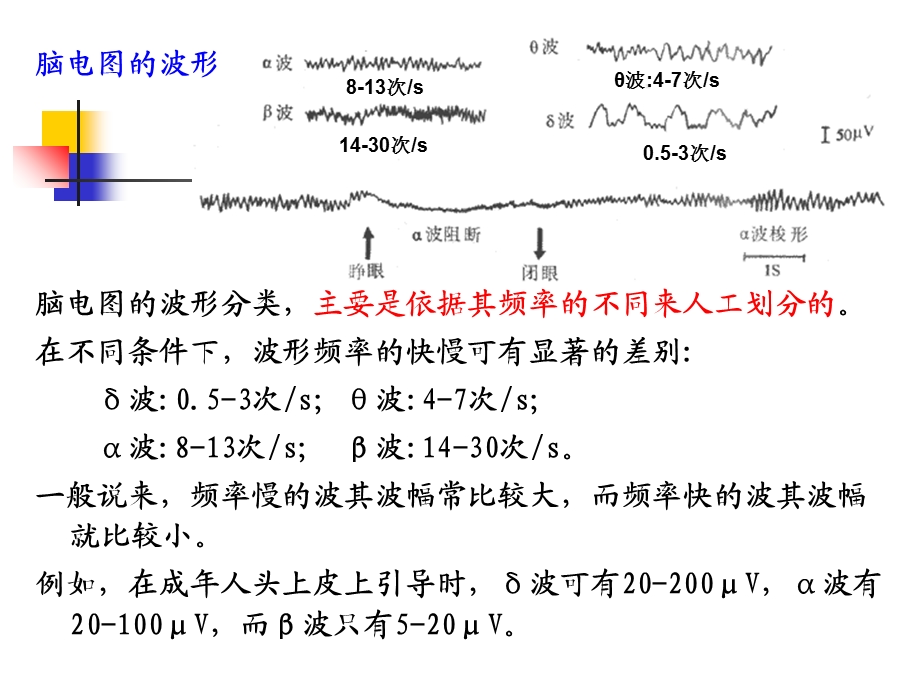 本科生课程-神经系统高级功能脑电图睡眠与觉醒剖析.ppt_第3页