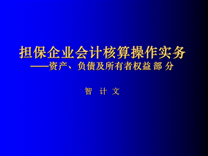 担保企业会计核算操作实务.ppt