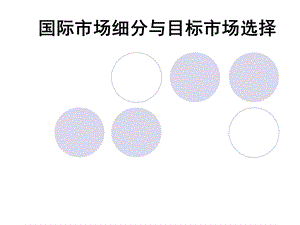 国际市场细分与目标市场选择.ppt