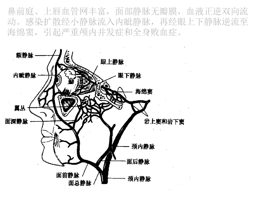 呼吸暂停平均次数每小时中枢性睡眠.ppt_第3页