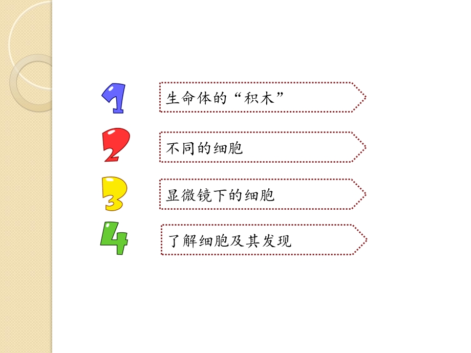 搭建生命体的“积木”.ppt_第2页