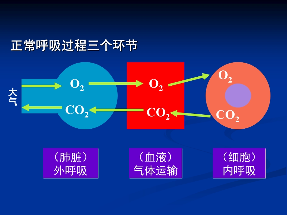 呼吸衰竭的优秀.ppt_第3页