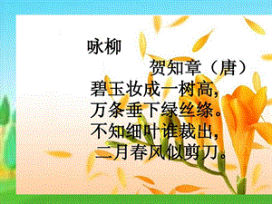 春光染绿我们双脚.PPT.ppt