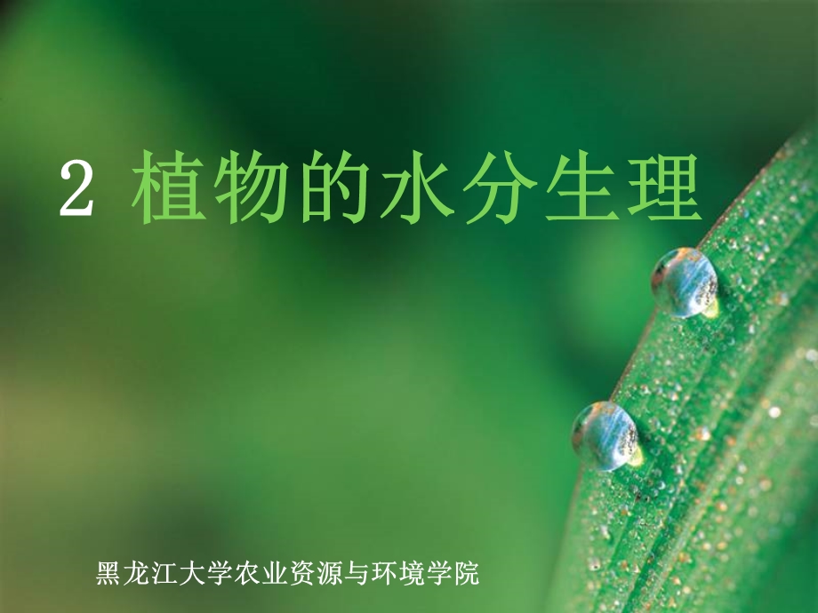 大学植物生理学经典课件02植物的水分生理.ppt_第1页