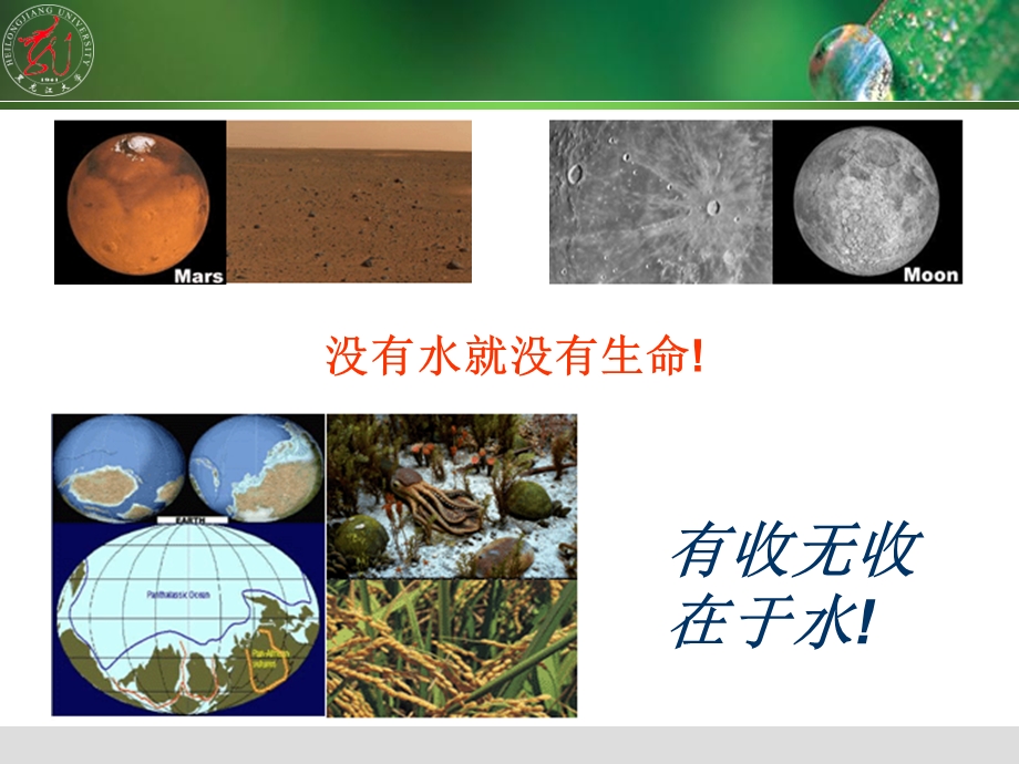 大学植物生理学经典课件02植物的水分生理.ppt_第3页