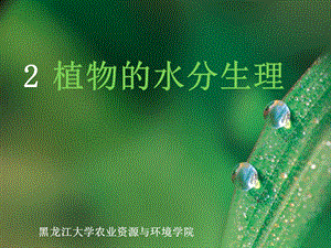 大学植物生理学经典课件02植物的水分生理.ppt