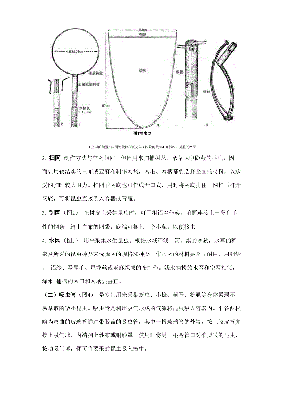 昆虫标本的采集、制作和保存方法.docx_第2页