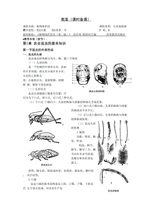 昆虫基本知识.docx