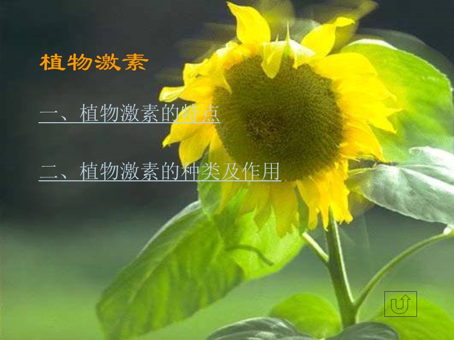 常见的植物的激素及其作用.ppt_第3页