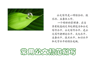 常用公文规范拟写.ppt