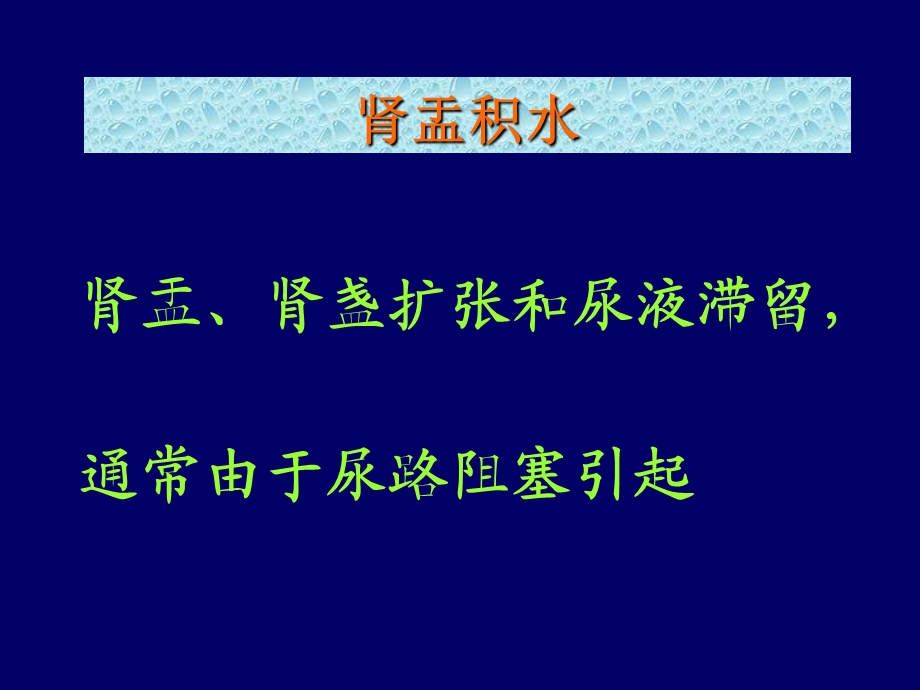 常见泌尿系统疾病.ppt_第2页