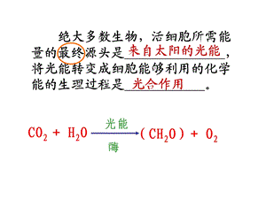 捕获光能的色素和结构修改.ppt