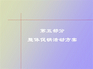 部分整体促销.ppt