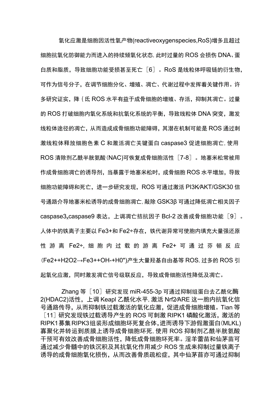 2023成骨细胞铁代谢异常的研究进展.docx_第2页