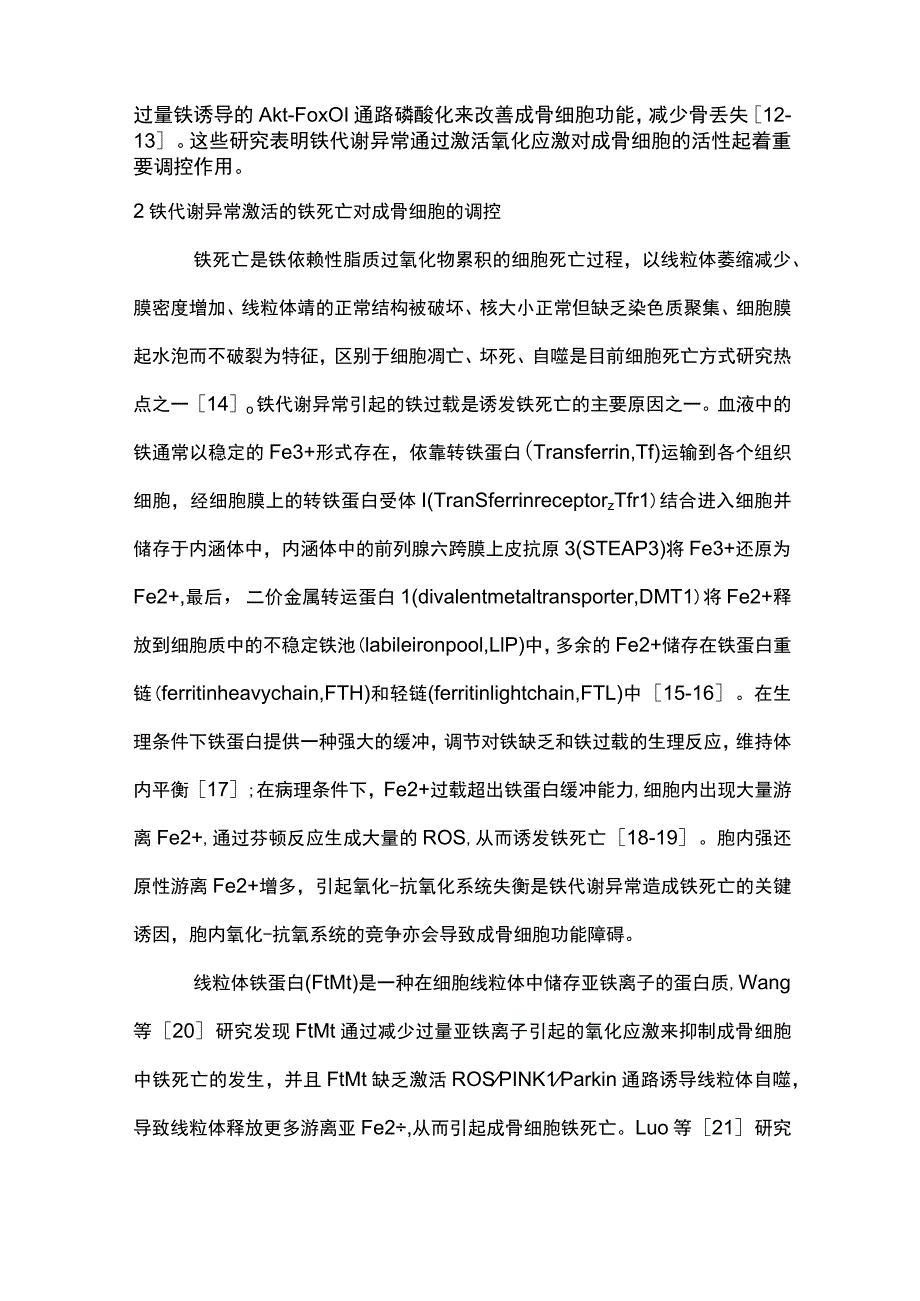 2023成骨细胞铁代谢异常的研究进展.docx_第3页