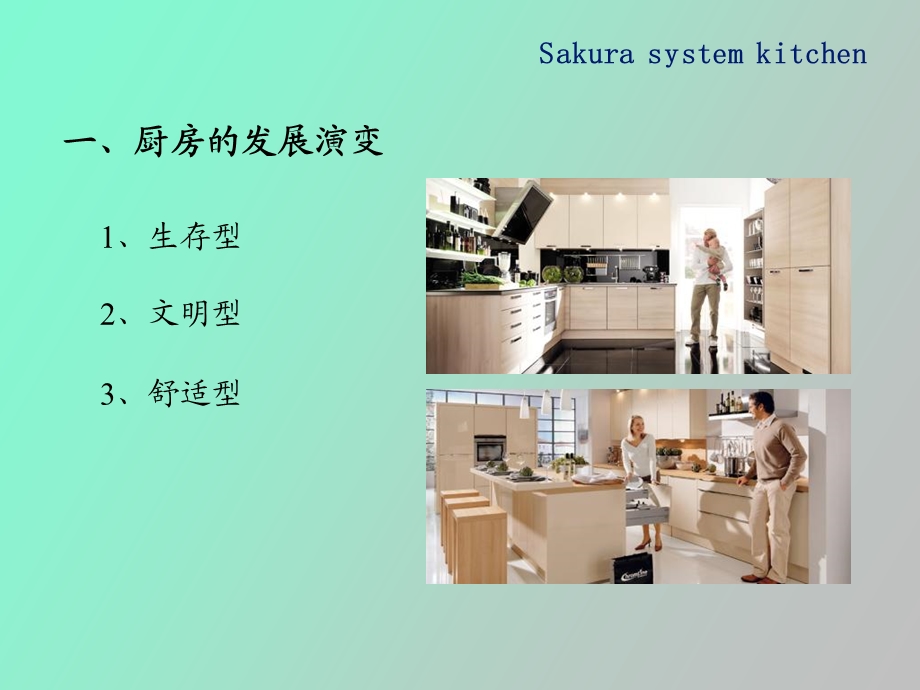 橱柜设计原理.ppt_第2页