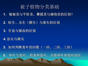 被子植物形态术语一.ppt