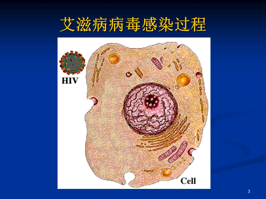 艾滋病防治与医务人员职业暴露防护-魏秀青.ppt_第3页