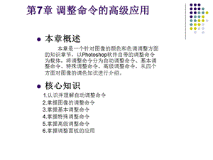 调整命令的高级应.ppt