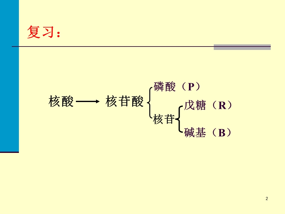 核酸与核苷酸代谢ppt课件.ppt_第2页