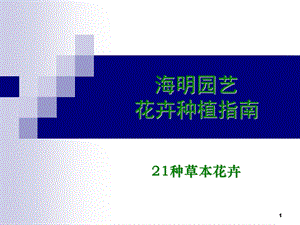 海明园艺21种花卉种植指南.ppt