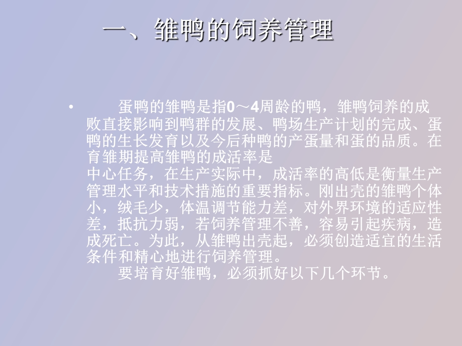 蛋鸭的养殖技术.ppt_第1页