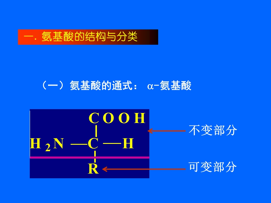 氨基酸和蛋白质药物的分析.ppt_第2页